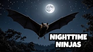 Fruit Bats  Nature's Nighttime Ninjas!