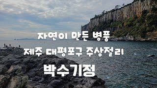 자연이 만든 신비로운 병풍 #박수기정 #대평포구 #서귀포주상절리