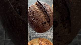 Simple chocolate sourdough shaping #shorts