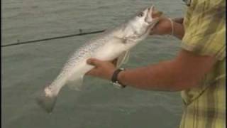 Spring Fishing on Lower Laguna Madre off to a Fast Start