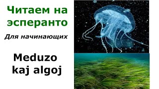 Читаем на эсперанто. Медуза и водоросли / Meduzo kaj Algoj. Для начинающих