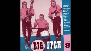 Various – The Big Itch Volume 8 50's 60's Rock & Roll, Novelty Garage, Parody Rock Music Compilation