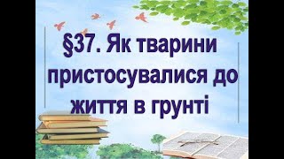 §37📚 АВДІОПІДРУЧНИК. Пізнаємо природу. 6 кл.  Як тварини пристосувалися до життя в грунті