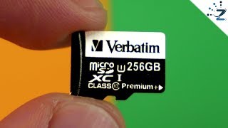 I bought a 256GB MicroSD for $9USD... from WISH