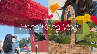 🇭🇰홍콩 Vlog| 7년차 홍콩댁의 설 준비! 몽콕 꽃시장, 빅토리아 파크 플라워 마켓 그리고 꽃꽂이 💐