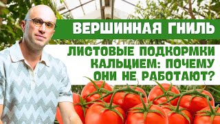 Вершинная гниль. Листовые Подкормки Кальцием: Почему Они Не Работают?