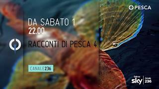 RACCONTI DI PESCA 4