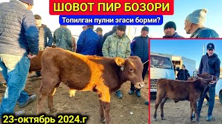 ХОРАЗМ ШОВОТ МОЛ БОЗОРИ ЁШ ХЎКИЗЛАР ЗЎРЛАРИ  23-октября 2024 г.