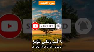 💚سورة القيامة 💙 اجمل تلاوة عطرة وجميلة 🎙💥👍