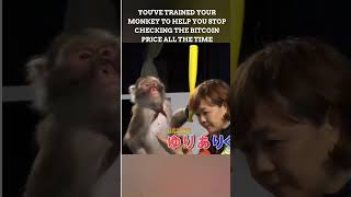 YOU'VE TRAINED YOUR MONKEY TO HELP YOU STOP CHECKING THE BITCOIN PRICE ALL THE TIME