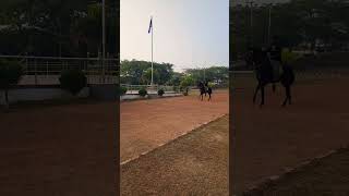 Horse Riding #shortsvideo #viral #shortsyoutube #rider