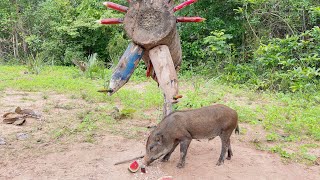 Build Unique Primitive Wild boar Trap Using Big Wood & Deep Hole #wildanimals #shortvideo