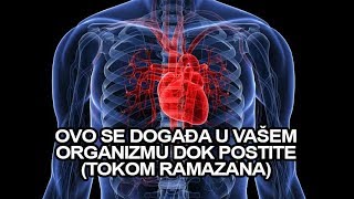 Ovo se događa u vašem organizmu dok postite (tokom ramazana)