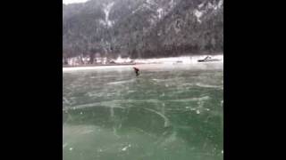 Mooie beelden, prachtig ijs, Alternatieve Elfstedentocht Weissensee 2010