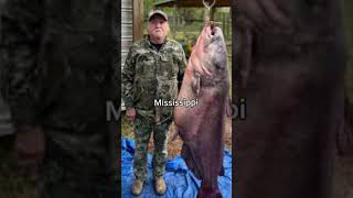 Biggest fish caught from each state part 2