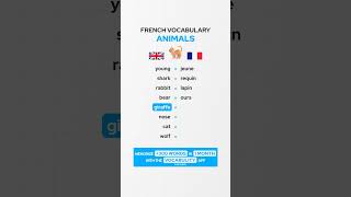 Animals French Vocabulary 🇫🇷