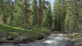 calming music a stream runs through the forest ASMR  meditation music play in back ground  relax