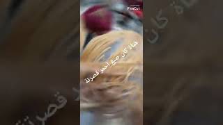 كوافير لاناقه والجمال / عمل زبونه شغل روعه 🌹: راح اجاوب على اسألتكم بالتعليقات🥰