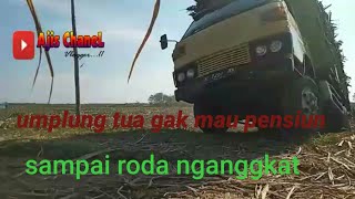 umplung bawa muatan 12 ton tebu