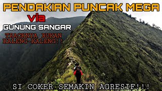 JALUR VIRAL!!! | PENDAKIAN PUNCAK MEGA GUNUNG PUNTANG VIA GUNUNG SANGAR ARJASARI BANDUNG JAWA BARAT