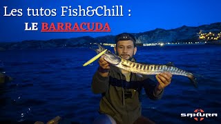 Les tutos Fish& Chill - Le barracuda [Partie 1]