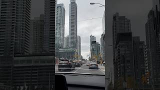 Toronto #traveling#shortsfeed#shorts#nature #short video#shortviral #subscribe#shorts#travel#canada