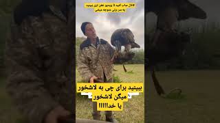 ببینید برای چی به لاشخور میگن لاشخور 😱 واقعا برازنده این اسم هست