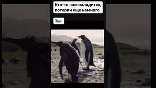 Кто-то: все наладится, потерпи еще немного;     Ты: