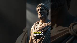 The four Virtues of Stoicism #quotes #stoicphilosophy #stoicismdaily