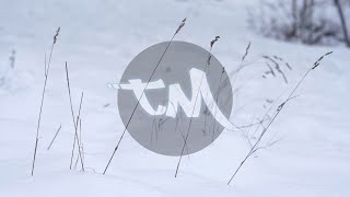 Vegetation In The Snow 2 | FREE #NoCopyright 4k #StockFootage