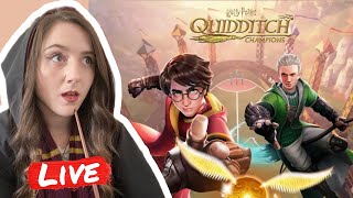 Harry Potter Quidditch Champion New Game!