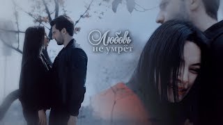 multicouples | любовь не умрёт [collab w\shot of moonlight]