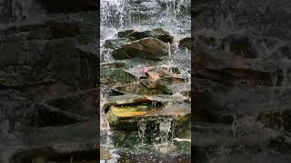 Slomo water cascading down rocks after storm #soothingrelaxation #slowmotion #relaxationvideo