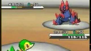 Pokemon Black and White - New Battle gameplay! New moves and Abilities!