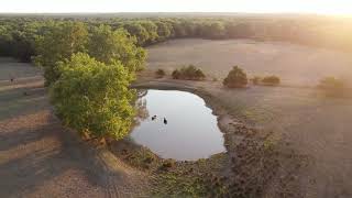 Nevada Farm  For Sale at Auction!