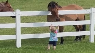 WHY HORSES🐴 LOVE LITTLE KIDS | 👍ANIMALS