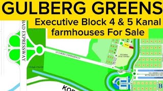 Executive Block Gulberg Greens Islamabad  /  Gulberg Greens Farmhouses For Sale / Gulberg Islamabad