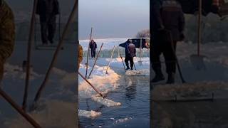 Getting ice for winter. Its a traditional way to get drinking water for the cold season in Siberia❄️