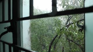 Cyclone Vardah at IIT Madras 10