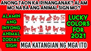 Animal Zodiac Sign, Mga Katangian Nila at Lucky Colors sa Taong 2021