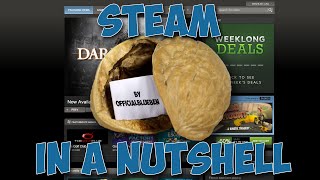 Steam: In a Nutshell