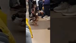 Russia. Metro station in Saint-Petersburg