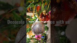 Decorate Christmas Tree with us #shorts #shortsvideo #viral