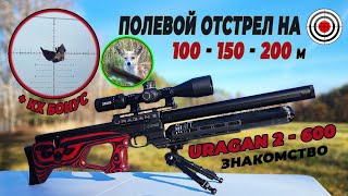 Air Rifle AGT Uragan 2 600 \ Обзор-Отстрел на 100-150-200 m + КХ Бонус