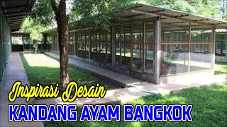 Inspirasi Desain Membuat Kandang Ayam Bangkok