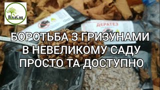 Захист невеликого саду від гризунів. Просто та доступно.