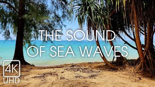 [4K] Relaxing sound of sea waves | Mai Khao beach | Thailand