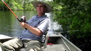 Bluegill, Catfish, Red Breast, and a surprise catch part two