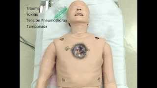 ACLS Part 3 - 6 H's and 5 T's; presented by Dr. Gallagher's Neighborhood