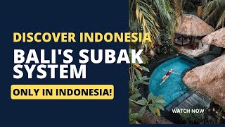 The Ancient Heritage of Bali: Uncovering the Subak System